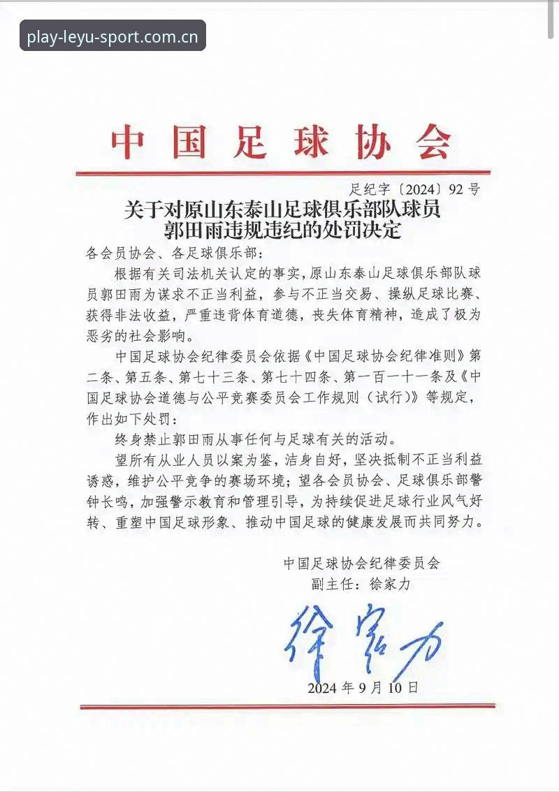 中国足协第三批禁足名单深度评测：17人终身禁赛背后的行业震荡